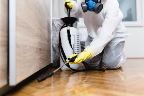 Best Termite Control Services  in Wheeler Af, HI