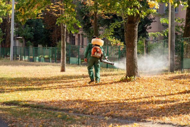 Reliable Wheeler Af, HI Pest Control Solutions